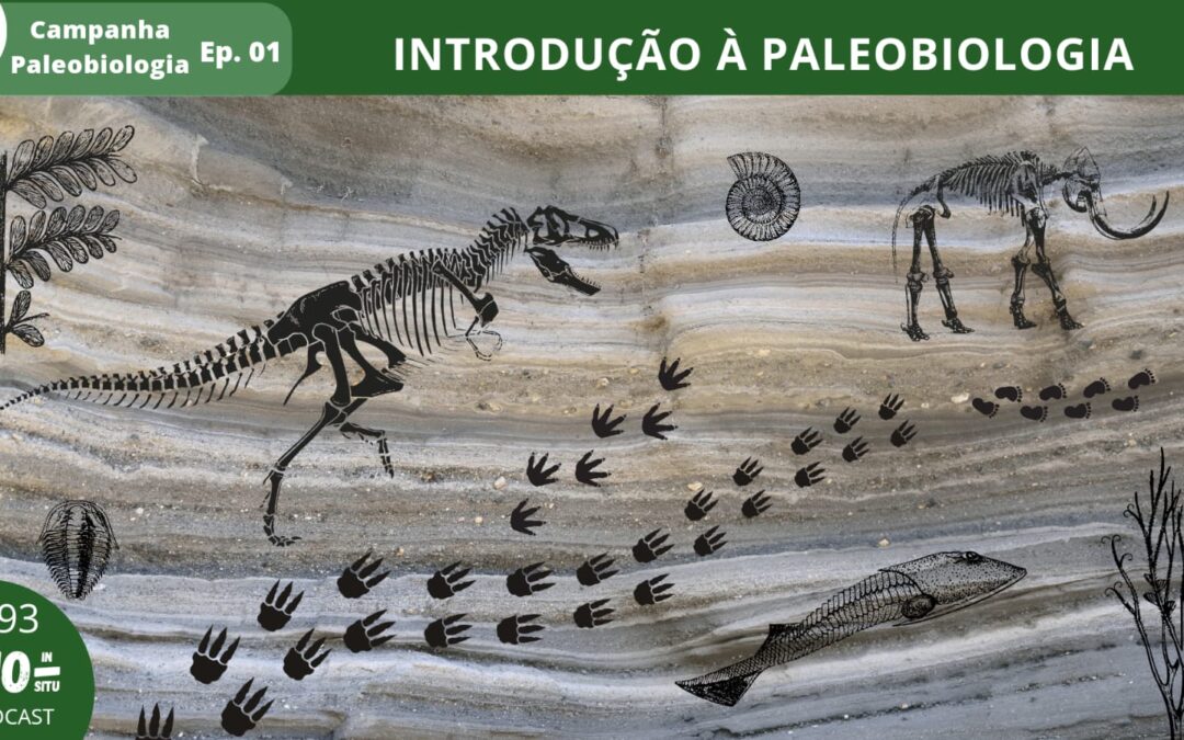 Museu de Paleontologia da UFRGS