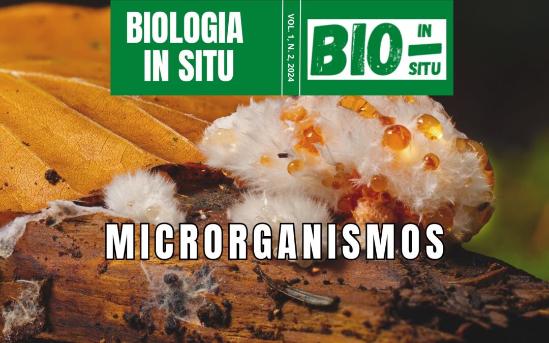 2 – Microrganismos