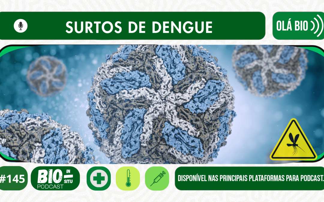 145 – Surtos de dengue