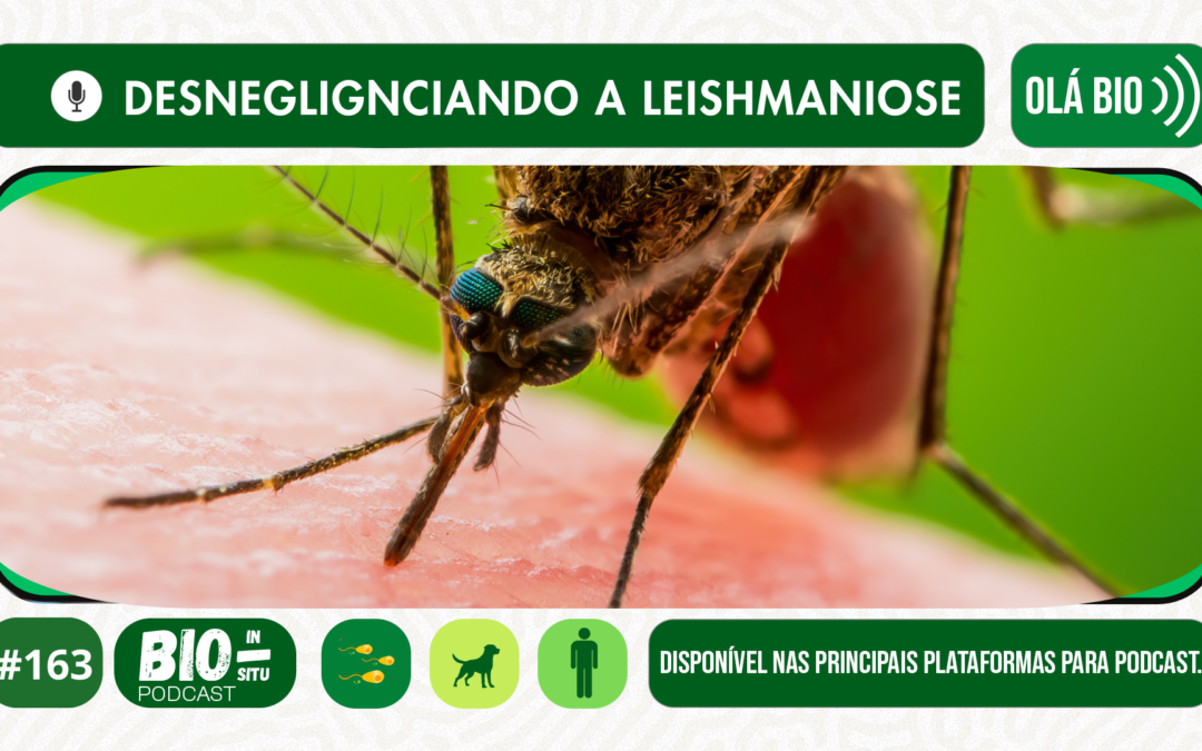 163 – Desnegligenciando a leishmaniose