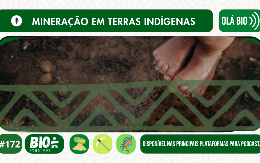 172 – Mineração em terras indígenas