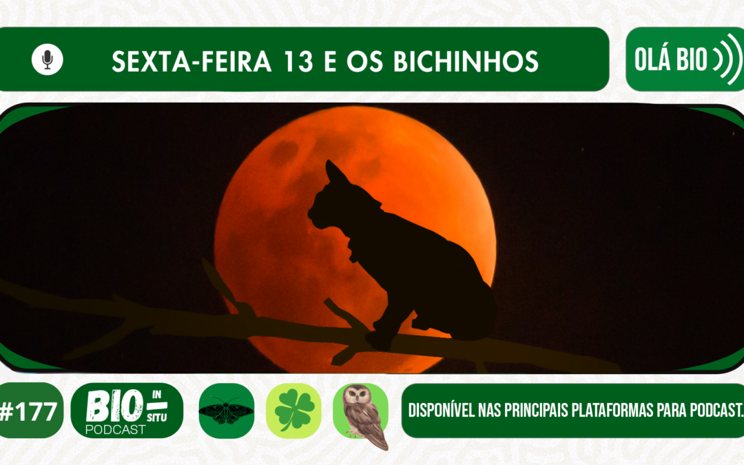 177 – Sexta-feira 13 e os bichinhos