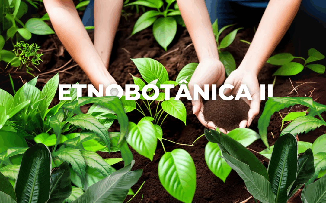 7 – Etnobotânica II