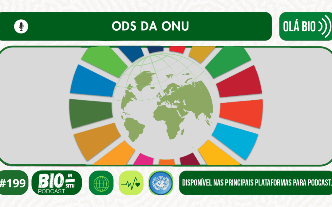 199 – ODS da ONU