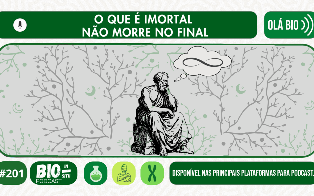 201 – O que é imortal não morre no final