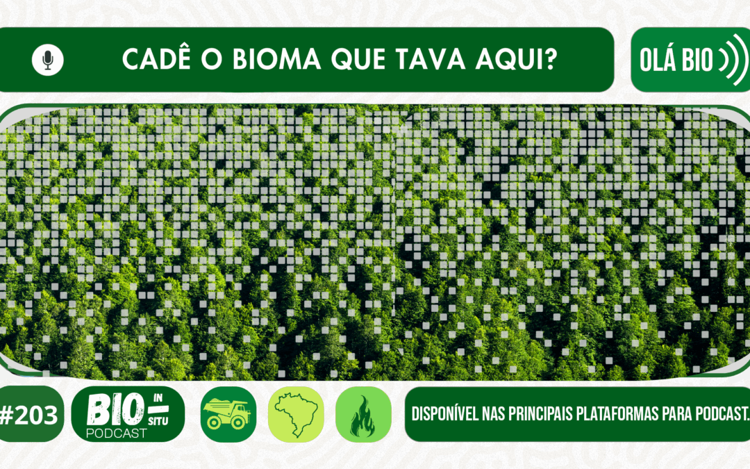 203 – Cadê o bioma que tava aqui?