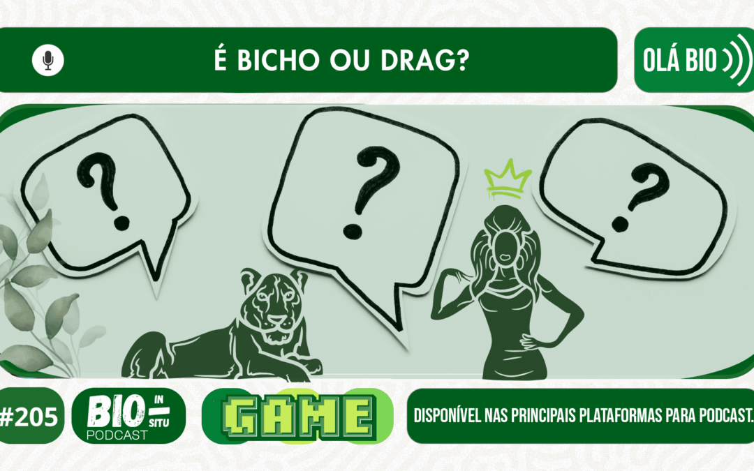 205 – É bicho ou drag?