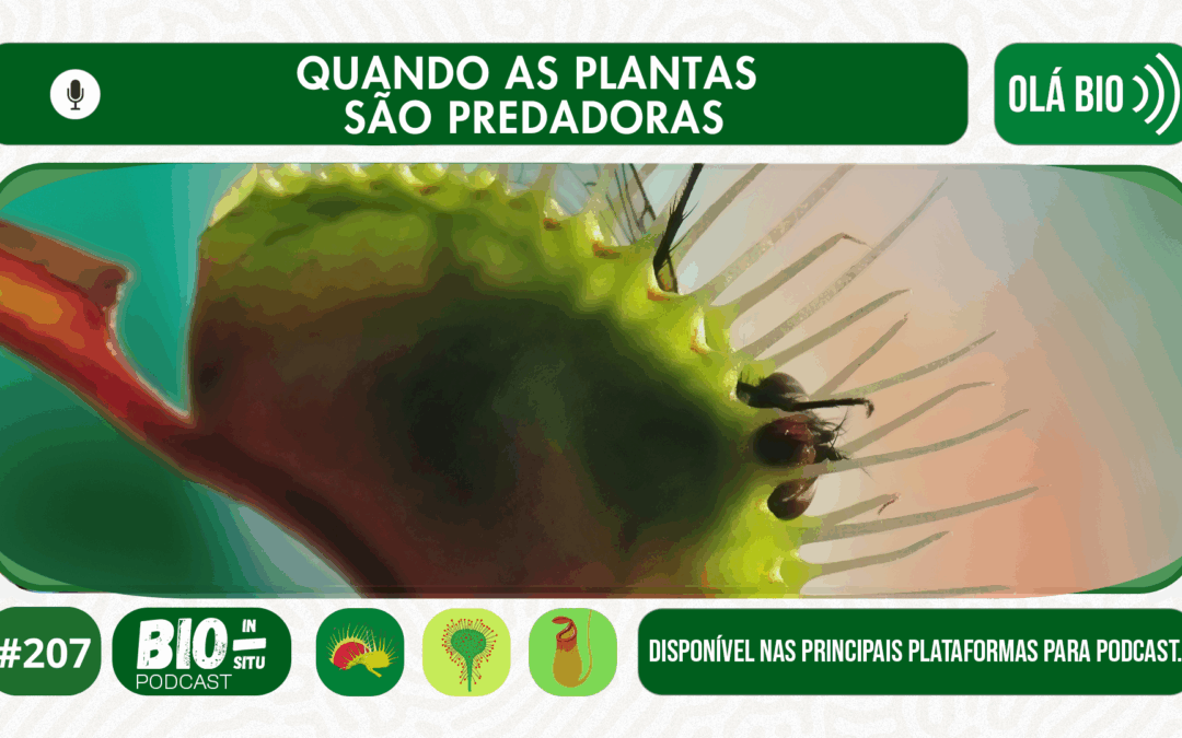 207 – Quando as plantas são predadoras