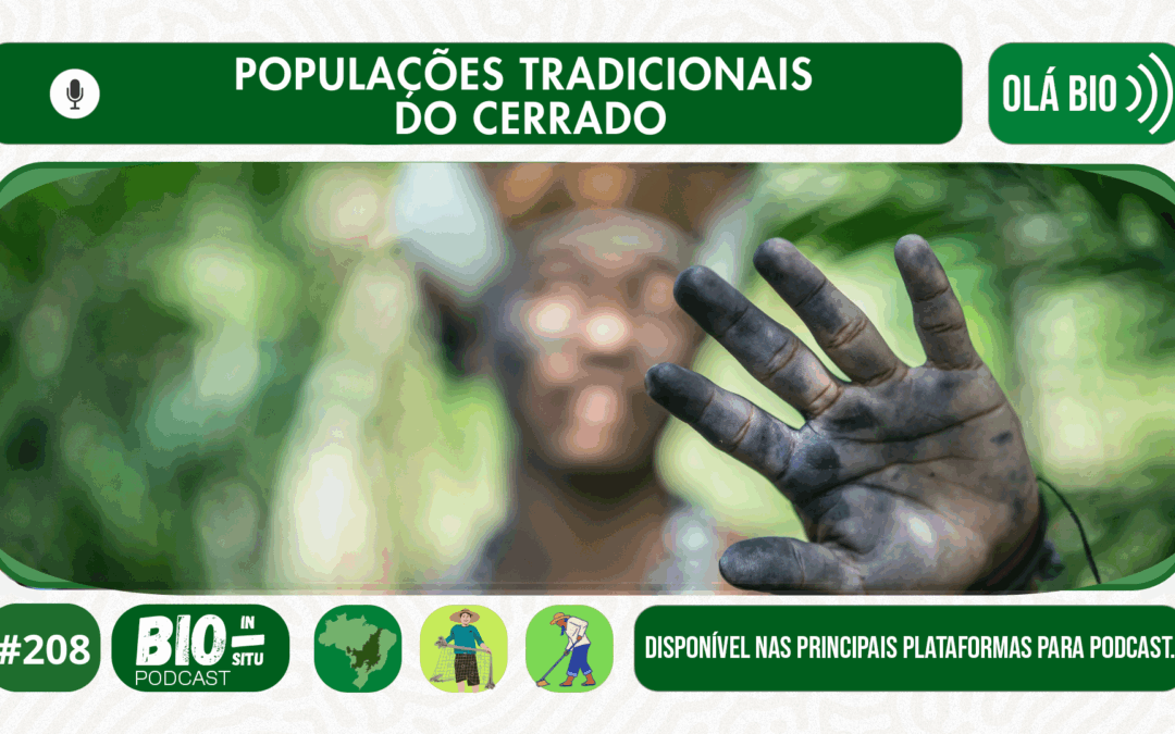 208 – Populações tradicionais do cerrado