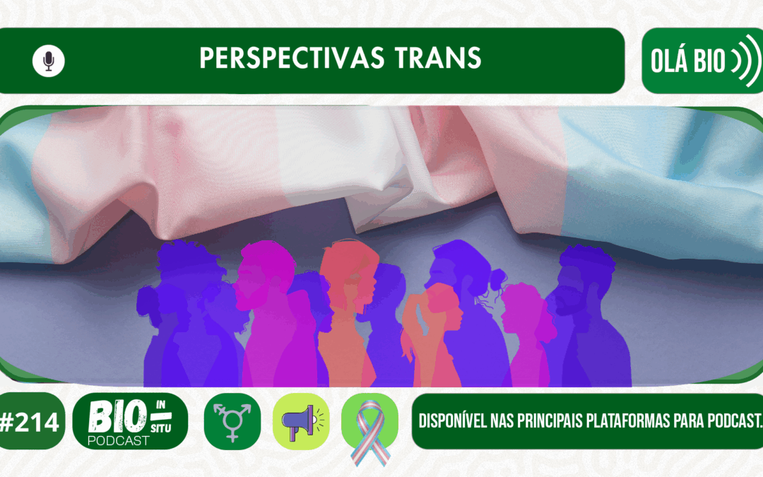 214 – Perspectivas trans