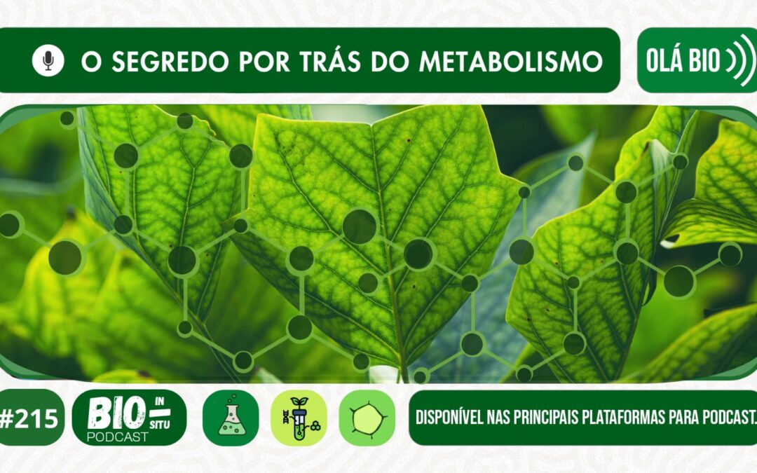 215 – O segredo por trás do metabolismo