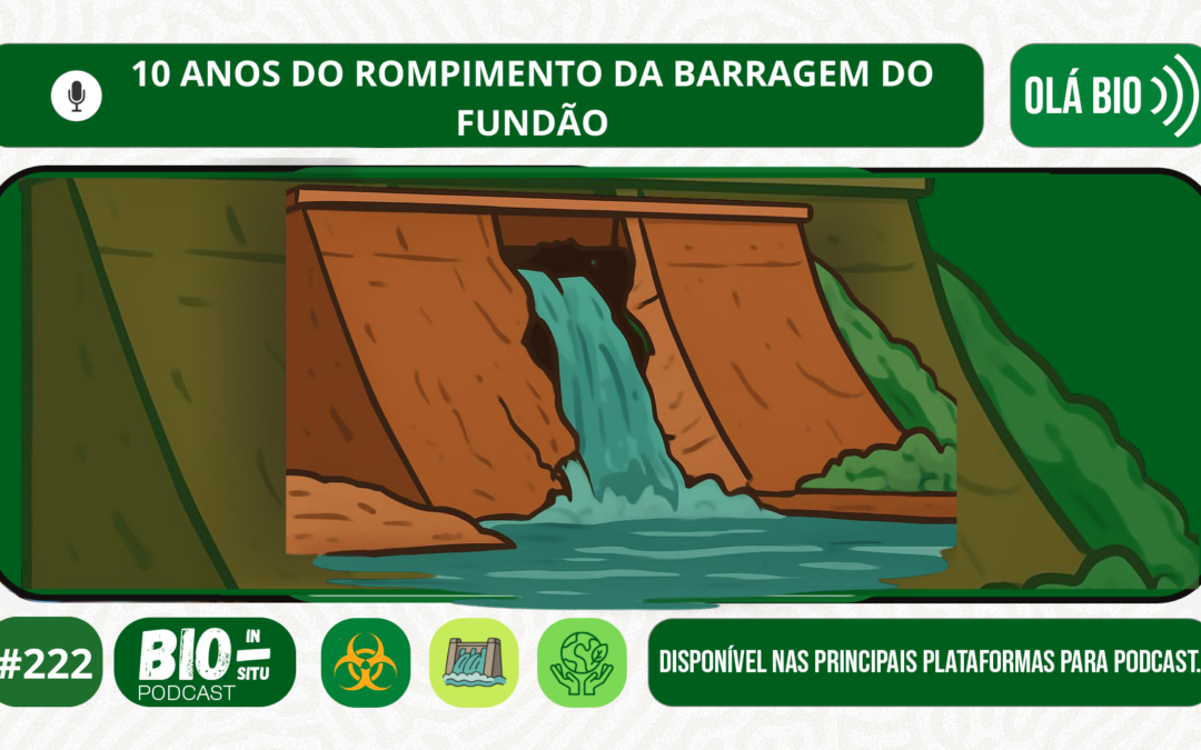 222 – 10 anos do rompimento da barragem do fundão