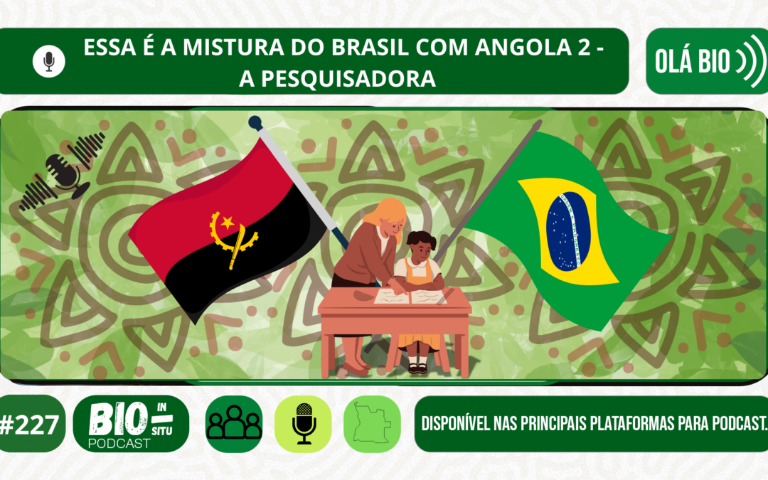 227 – Essa é a mistura do Brasil com Angola 2 – A professora