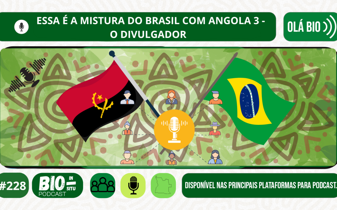 228 – Essa é a mistura do Brasil com Angola 3 – O divulgador