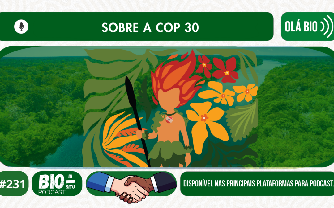 231 – Sobre a COP 30