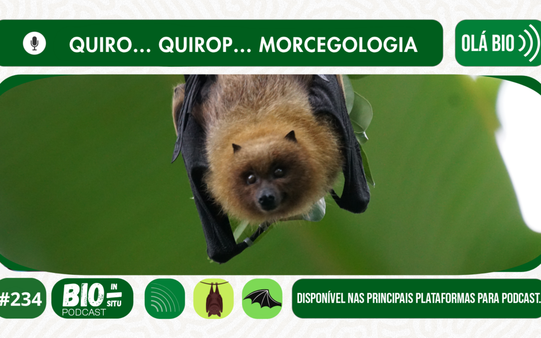 234 – Quiro… Quirop… Morcegologia