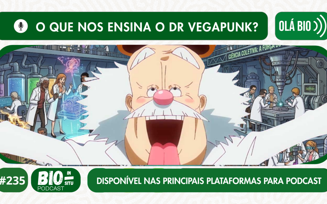 235 – O que nos ensina o Dr Vegapunk?