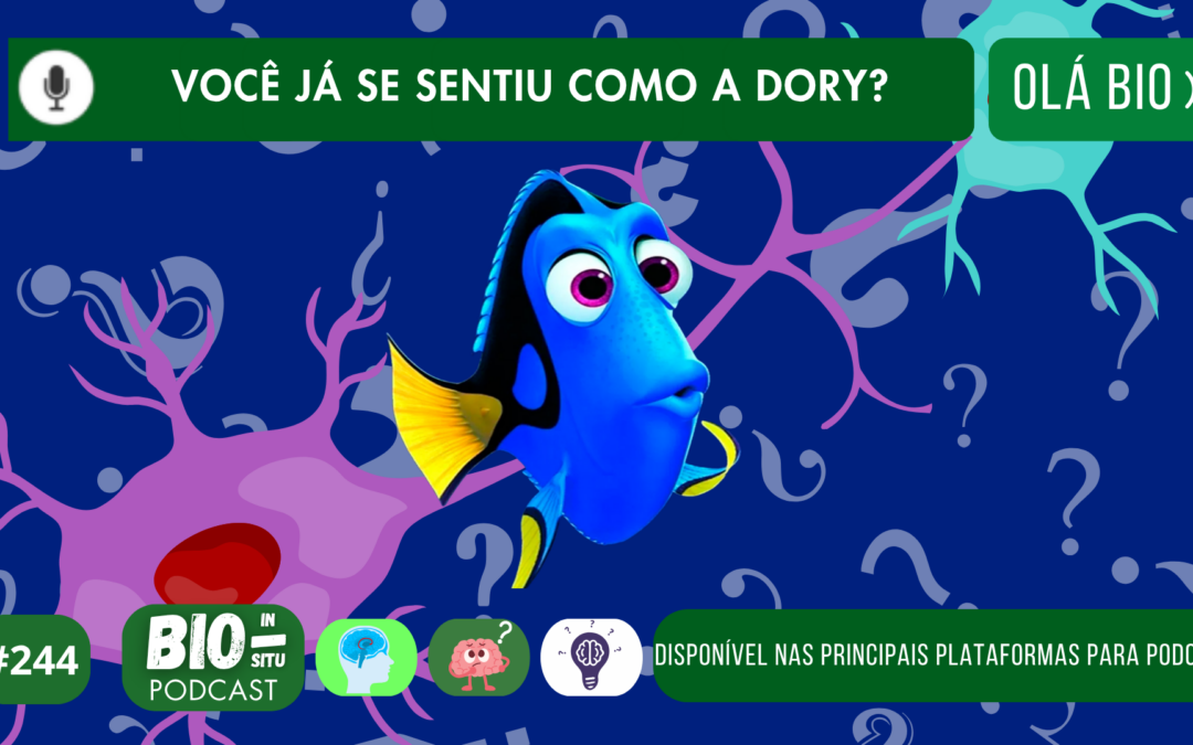 244 – Você já se sentiu como a Dory?