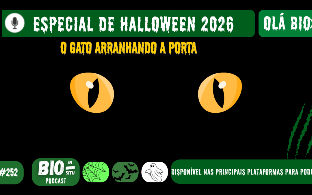252 – O gato arranhando a porta