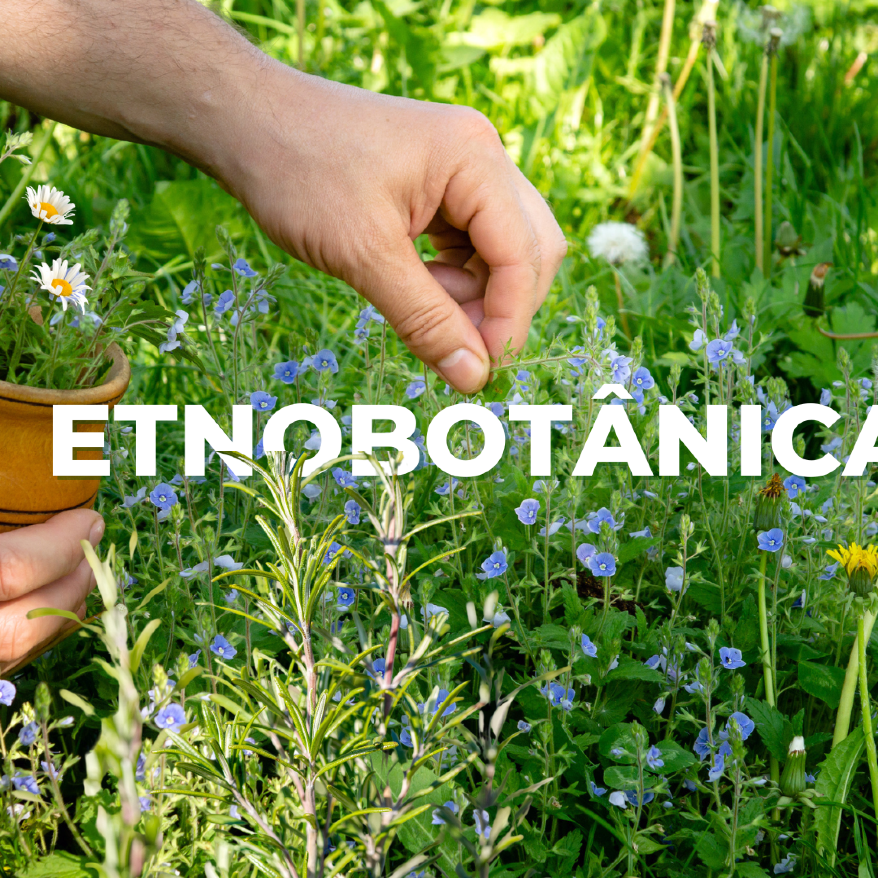 REVISTA 3° EDIÇÃO CAPAS (1920x1080)