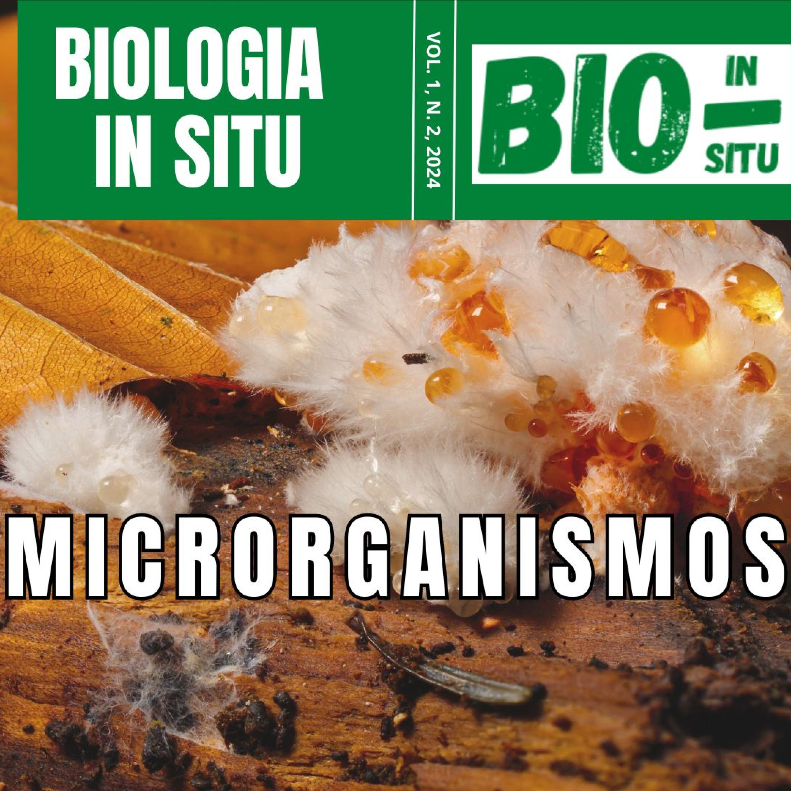 Revista Biologia In Situ - volume 1 - número 2 - Microrganismos - capa